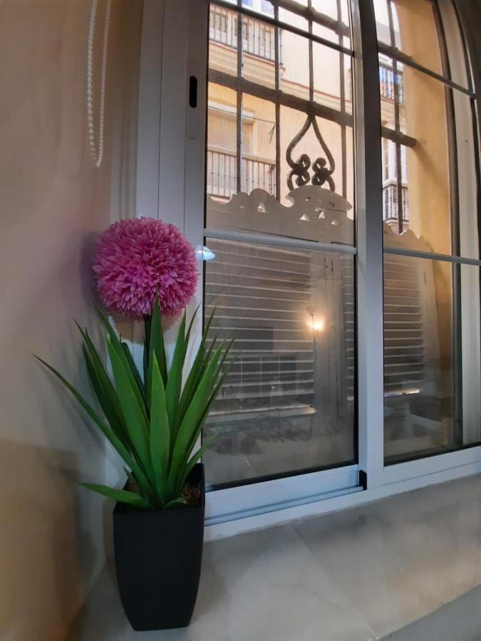 Precioso Duplex En El Corazon De Cadiz公寓 外观 照片
